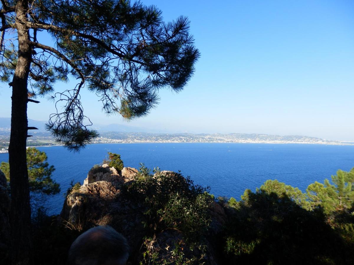 Esterel Terrasses, Roof Top, Plage, Parking Payant Cannes Exteriér fotografie